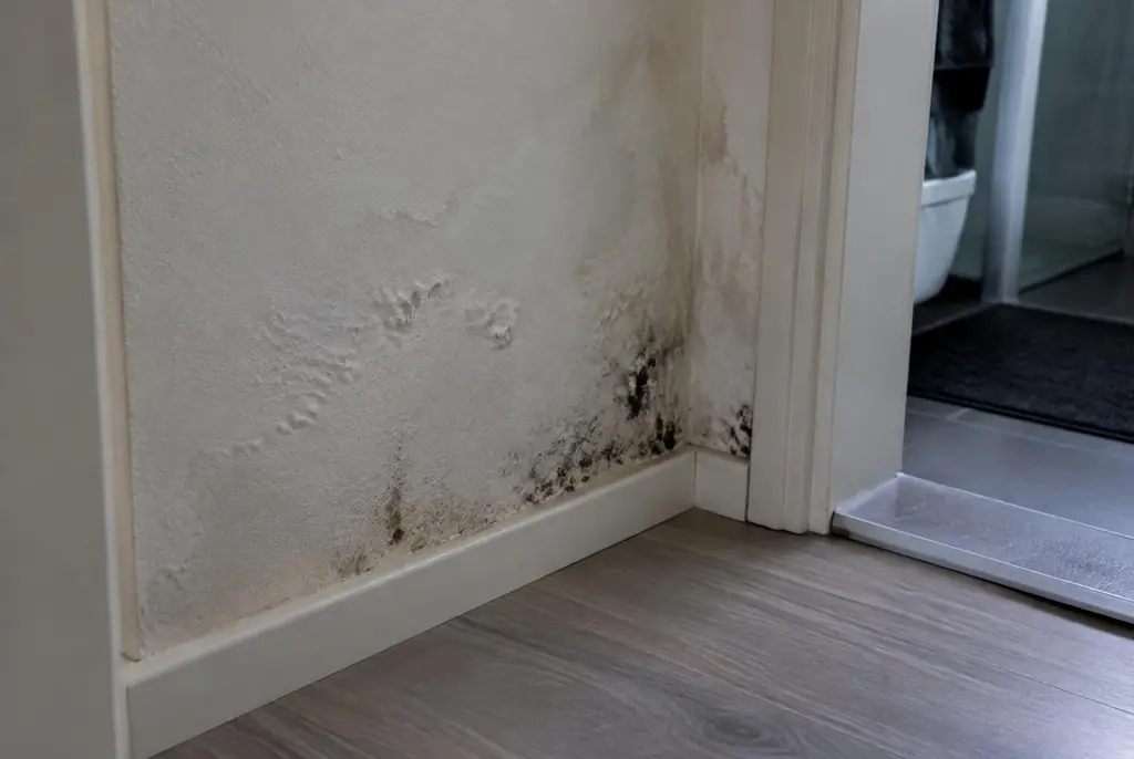 Lekdetectie Nootdorp – vochtplek met schimmel op een muur